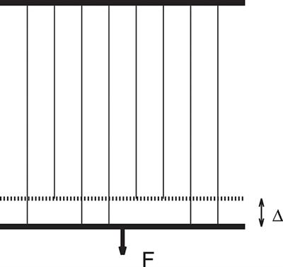 Variation of Elastic Energy Shows Reliable Signal of Upcoming Catastrophic Failure